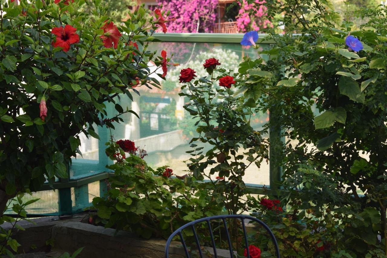 סיטייה Bellevue Apartments מראה חיצוני תמונה