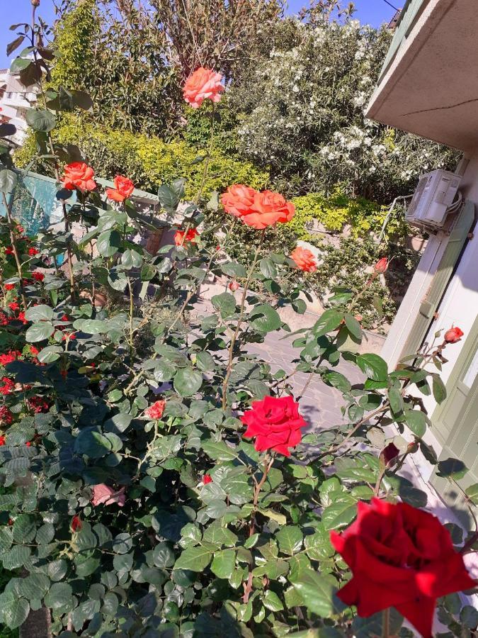 סיטייה Bellevue Apartments מראה חיצוני תמונה