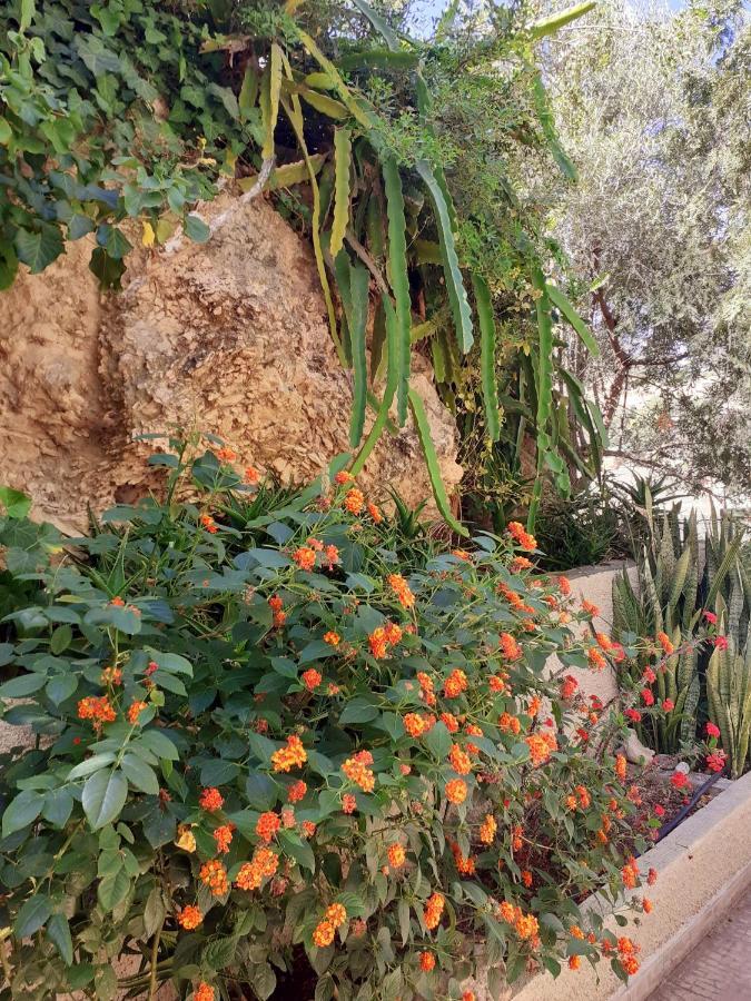 סיטייה Bellevue Apartments מראה חיצוני תמונה