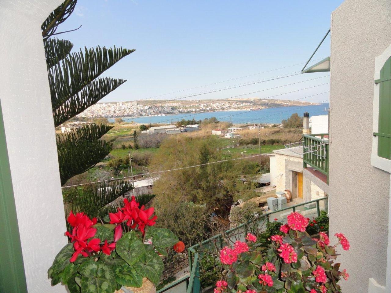 סיטייה Bellevue Apartments מראה חיצוני תמונה