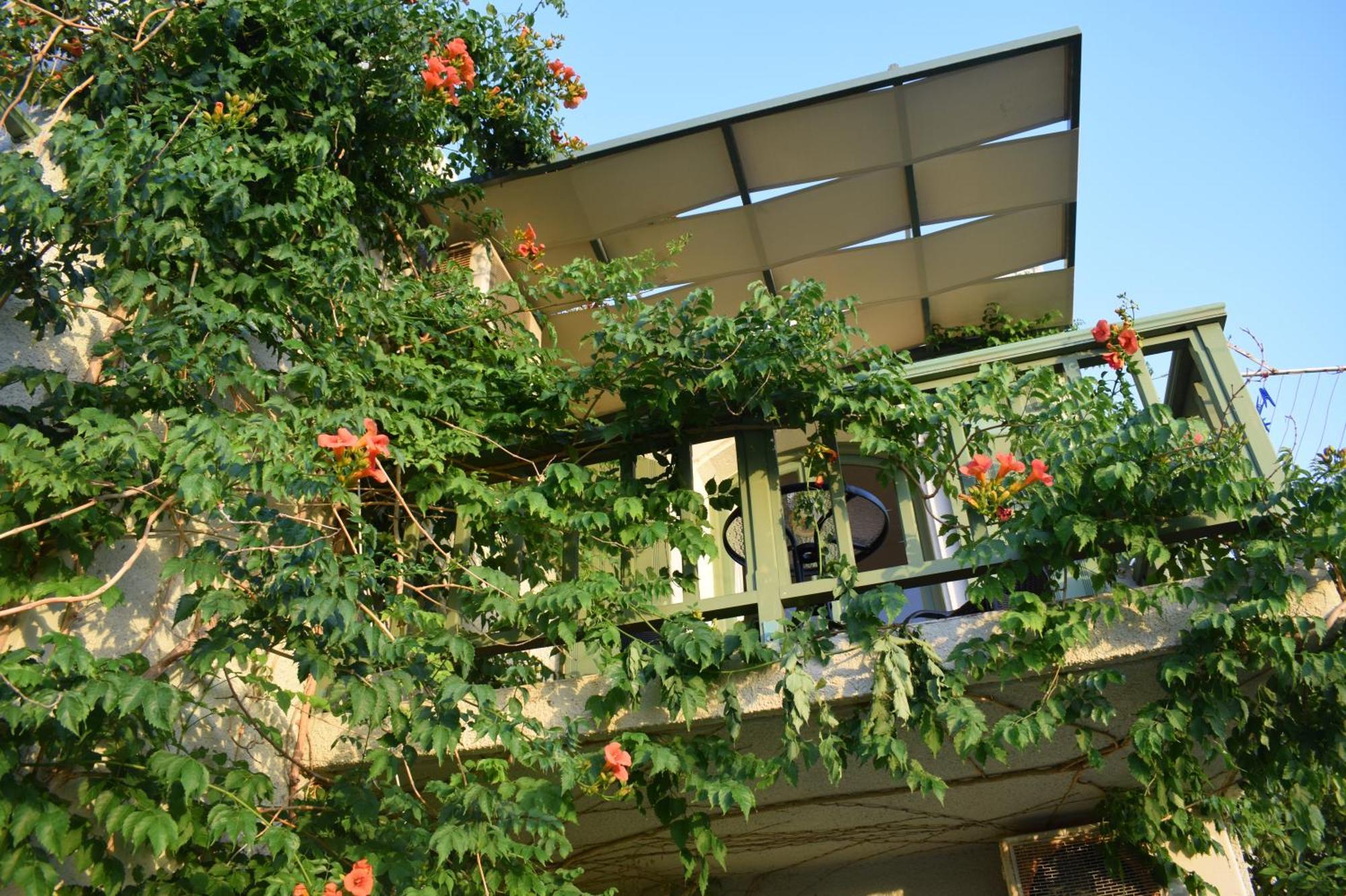 סיטייה Bellevue Apartments מראה חיצוני תמונה