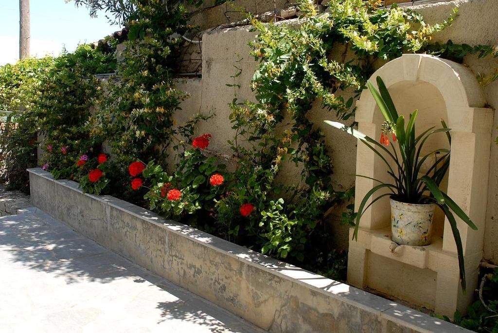 סיטייה Bellevue Apartments מראה חיצוני תמונה
